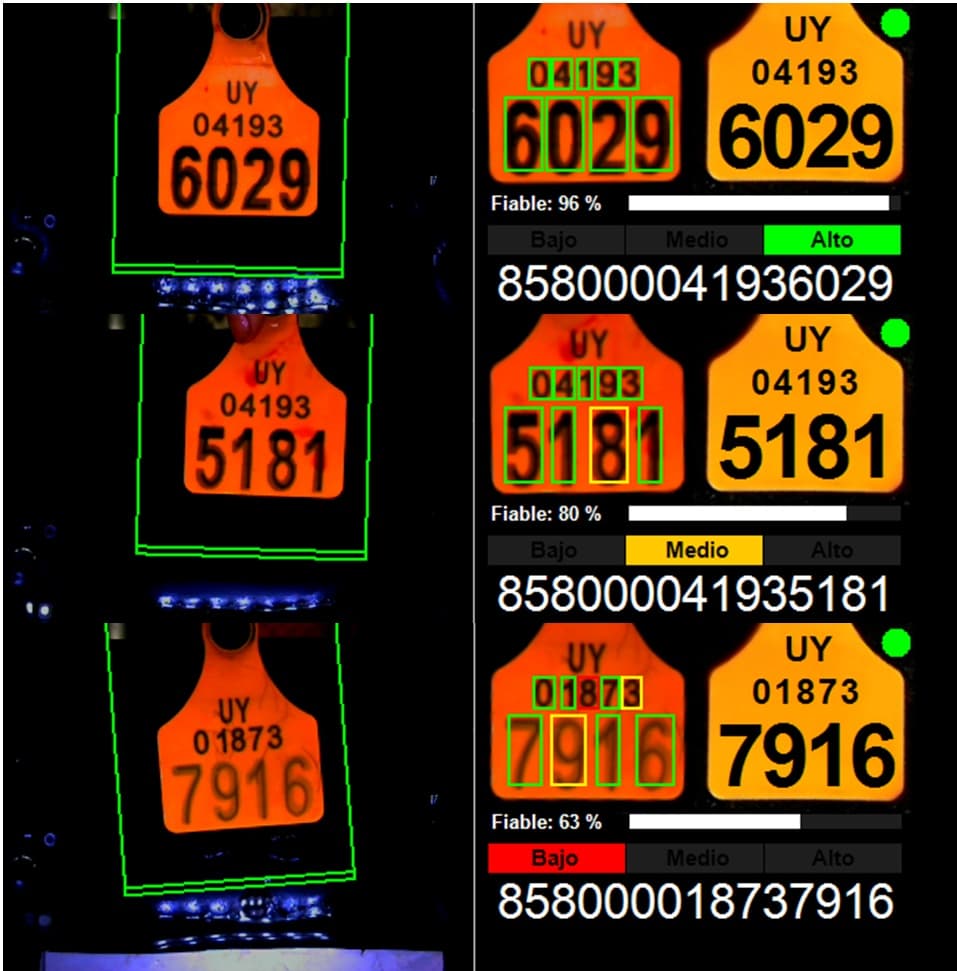 Análisis y Reportes